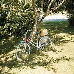 Casa Tamaltio Am Moselradweg - Naehe Trier Und Luxemburg 아파트 Temmels