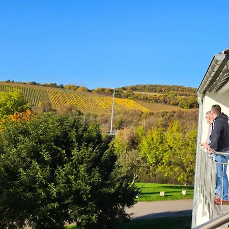 Daire Casa Tamaltio Am Moselradweg - Naehe Trier Und Luxemburg Temmels