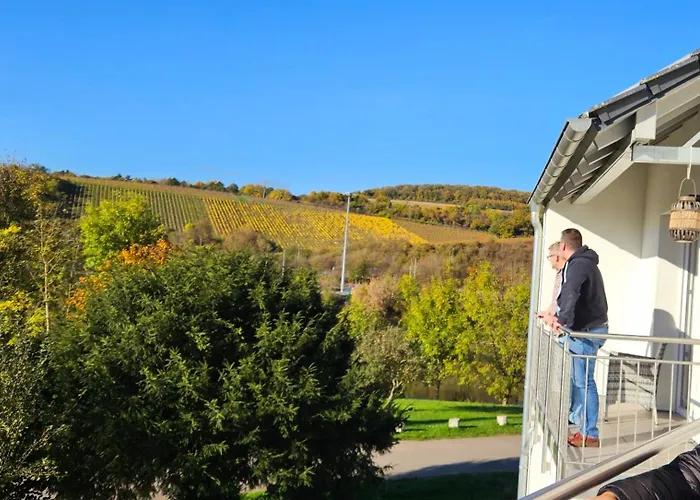 Daire Casa Tamaltio Am Moselradweg - Naehe Trier Und Luxemburg Temmels