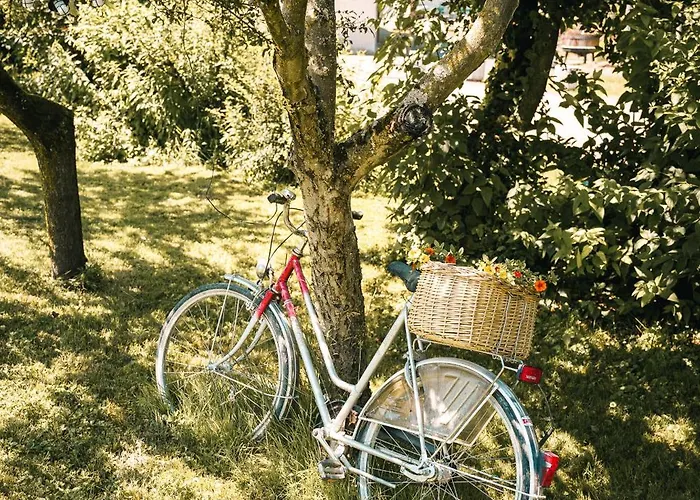 Casa Tamaltio Am Moselradweg - Naehe Trier Und Luxemburg Daire Temmels