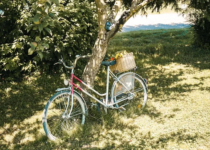 Casa Tamaltio Am Moselradweg - Naehe Trier Und Luxemburg Daire Temmels